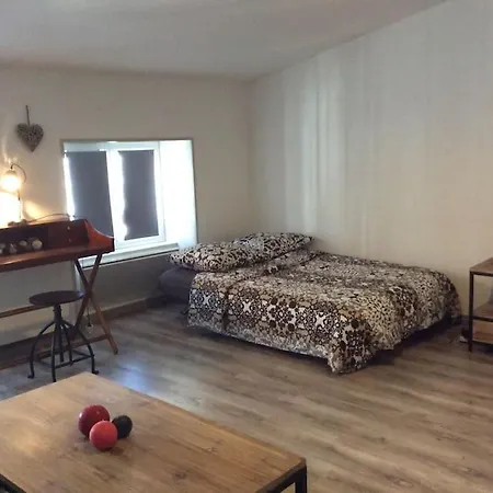 Studio De Charme A Deux Pas Du Vieux Marche Apartment